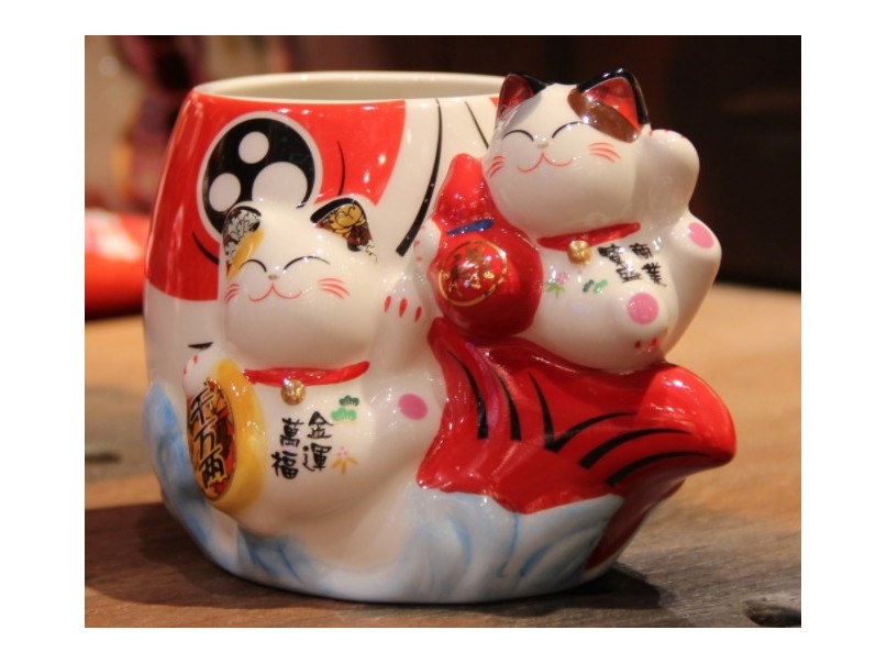 Lucky Big Fish Cat