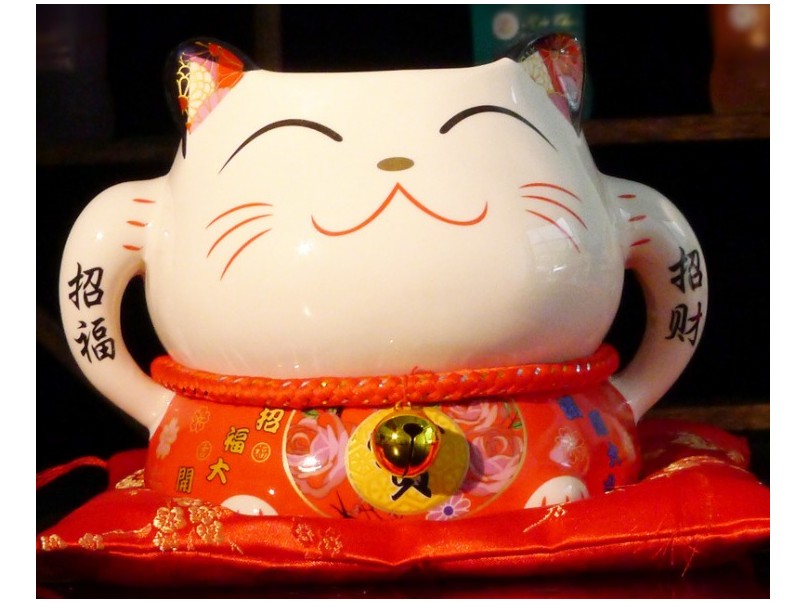Lucky Big Ear Cat