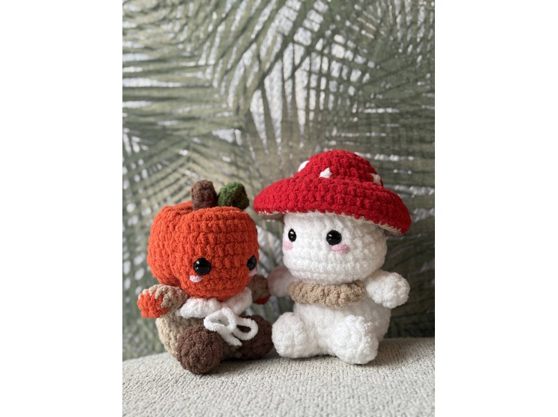 Mr Mushroom