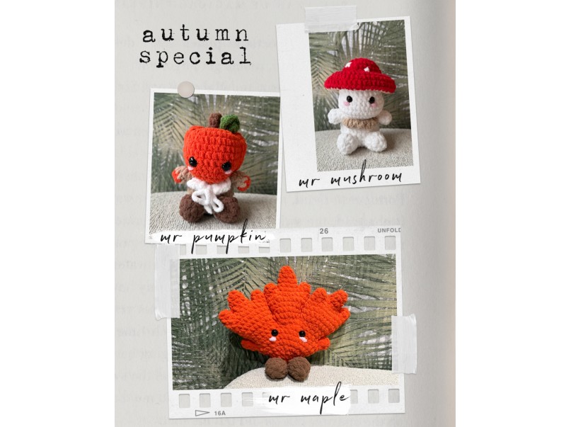 Mr Pumpkin