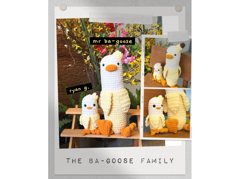 Mr Bagoose
