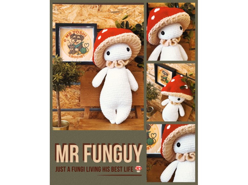 Mr Funguy